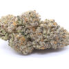 Purple Blizzard Strain Flower - Hybrid