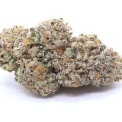 Purple Blizzard Strain Flower - Hybrid