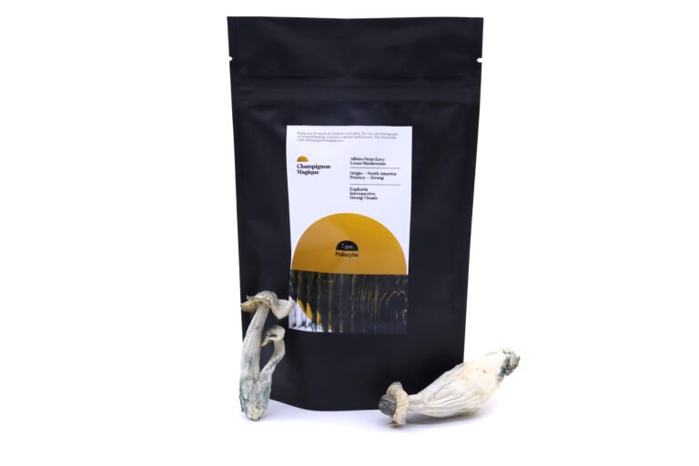 Albino Penis Envy Mushrooms