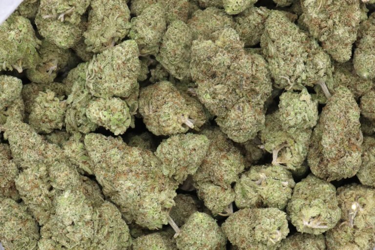 Cactus Breath