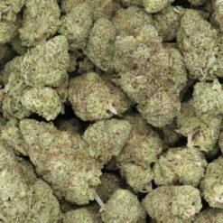 Cactus Breath Strain Flower - Indica Dominant Hybrid Cactus Breath Strain Flower - Indica Dominant Hybrid