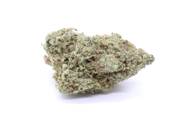 Cactus Breath