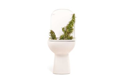 haute-health-cannabis-hyperemesis-syndrome