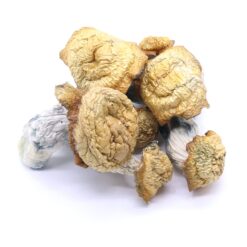 MK Ultra Mushrooms MK Ultra Mushrooms