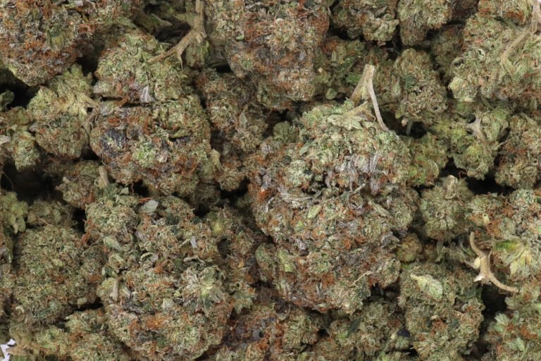 Pink Rockstar