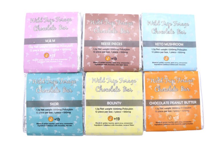 Wild Trip Forage Mushroom Chocolate Bars - 12x100mg Psilocybin