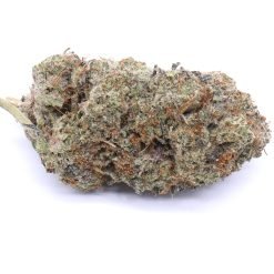 Lemon Cherry Gelato Strain Flower - Indica Dominant Hybrid