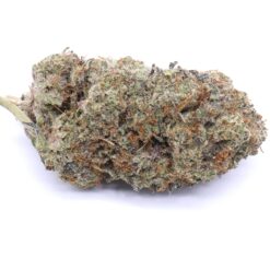 Lemon Cherry Gelato Strain Flower - Indica Dominant Hybrid Lemon Cherry Gelato Strain Flower - Indica Dominant Hybrid