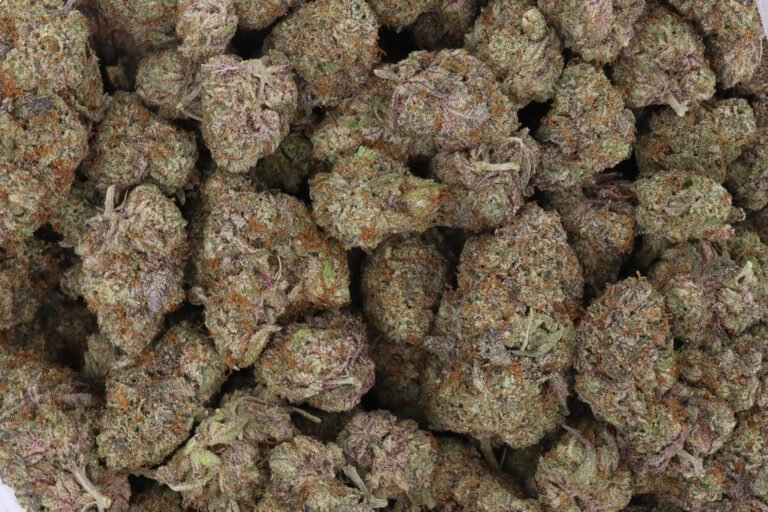 Lemon Cherry Gelato