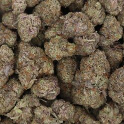 Lemon Cherry Gelato Strain Flower - Indica Dominant Hybrid Lemon Cherry Gelato Strain Flower - Indica Dominant Hybrid