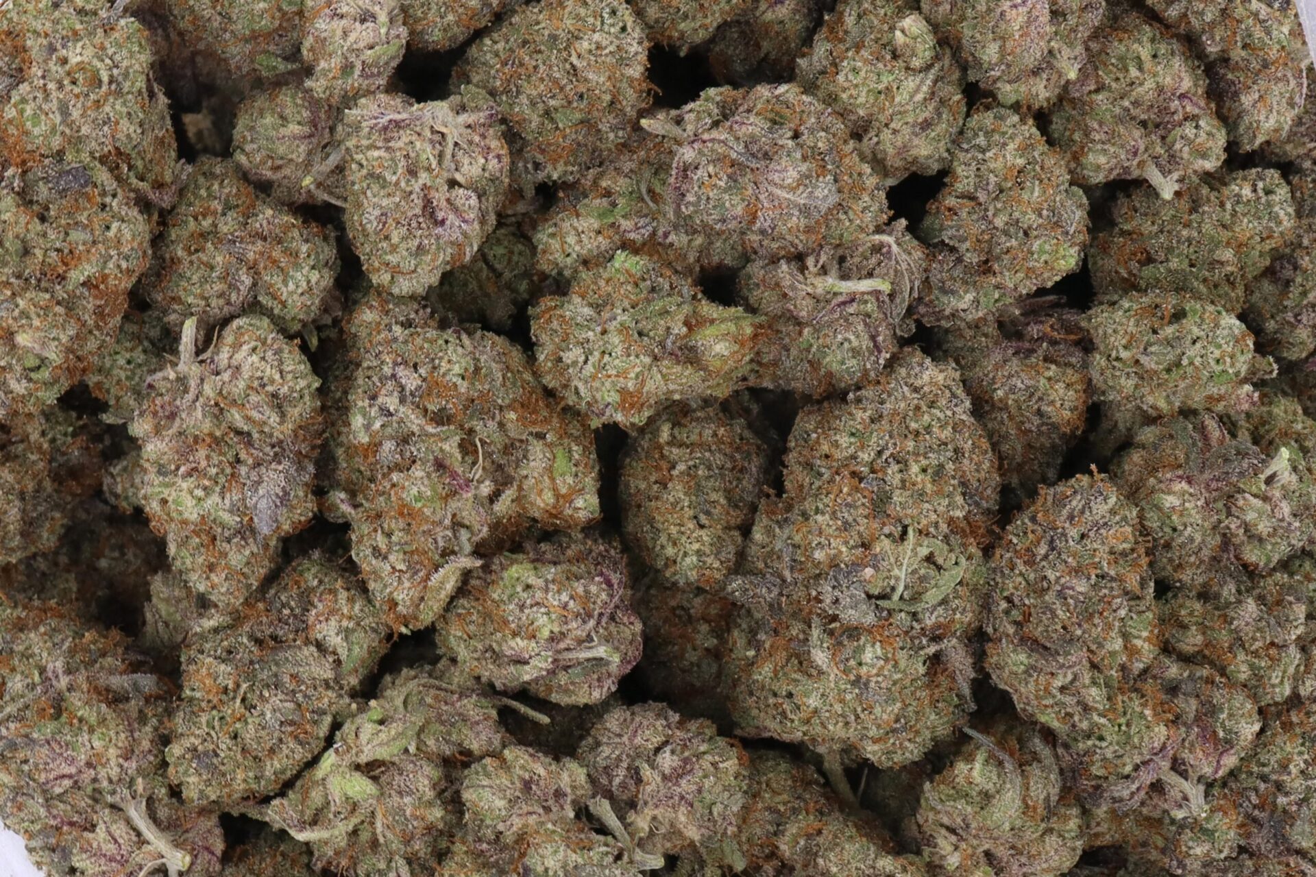 Lemon Cherry Gelato Strain Flower - Indica Dominant Hybrid Lemon Cherry Gelato Strain Flower - Indica Dominant Hybrid