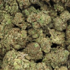 Lemon Fuel OG Strain Flower - Hybrid Lemon Fuel OG Strain Flower - Hybrid