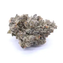 Permanent Marker Strain Flower - Indica Dominant Hybrid