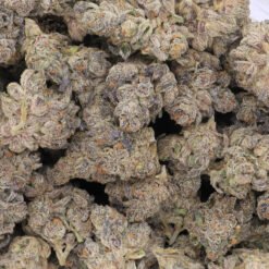 Permanent Marker Strain Flower - Indica Dominant Hybrid
