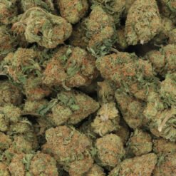 Pink Chapo Strain Flower - Indica