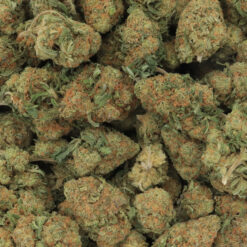 Pink Chapo Strain Flower - Indica