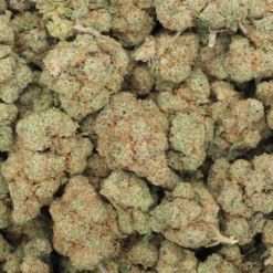 Pink Chapo Strain Flower - Indica
