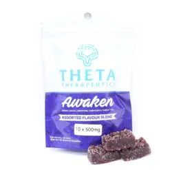 Theta Mushroom Gummies - Fruit Flavor Blend