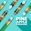 Spinach Pineapple Paradise - 510 Vape Cartridge Spinach Pineapple Paradise - 510 Vape Cartridge