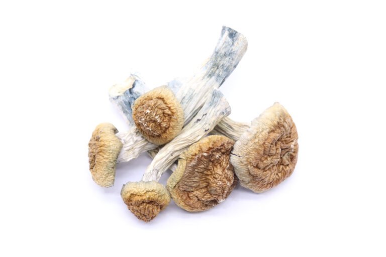 Gold Member Mushrooms