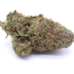 Greasy Runtz Strain Flower - Indica Dominant Hybrid