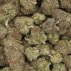 Greasy Runtz Strain Flower - Indica Dominant Hybrid Greasy Runtz Strain Flower - Indica Dominant Hybrid