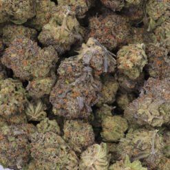 Greasy Runtz Strain Flower - Indica Dominant Hybrid