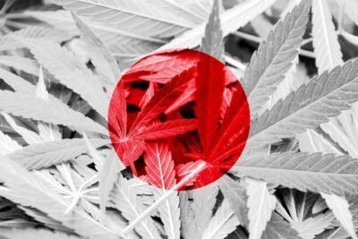 haute-health-tokyo-smoke-canada-review