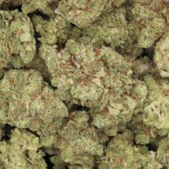 Zour Apple Strain Flower - Indica Dominant Hybrid Zour Apple Strain Flower - Indica Dominant Hybrid