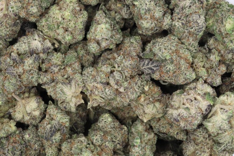 Blueberry Sugar