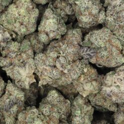 Blueberry Sugar Strain Flower - Indica Dominant Hybrid Blueberry Sugar Strain Flower - Indica Dominant Hybrid