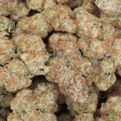Subzero Strain Flower - Hybrid Subzero Strain Flower - Hybrid