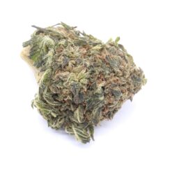 Blackberry Kush Strain Flower - Indica Blackberry Kush Strain Flower - Indica