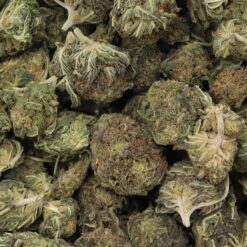 Blackberry Kush Strain Flower - Indica Blackberry Kush Strain Flower - Indica