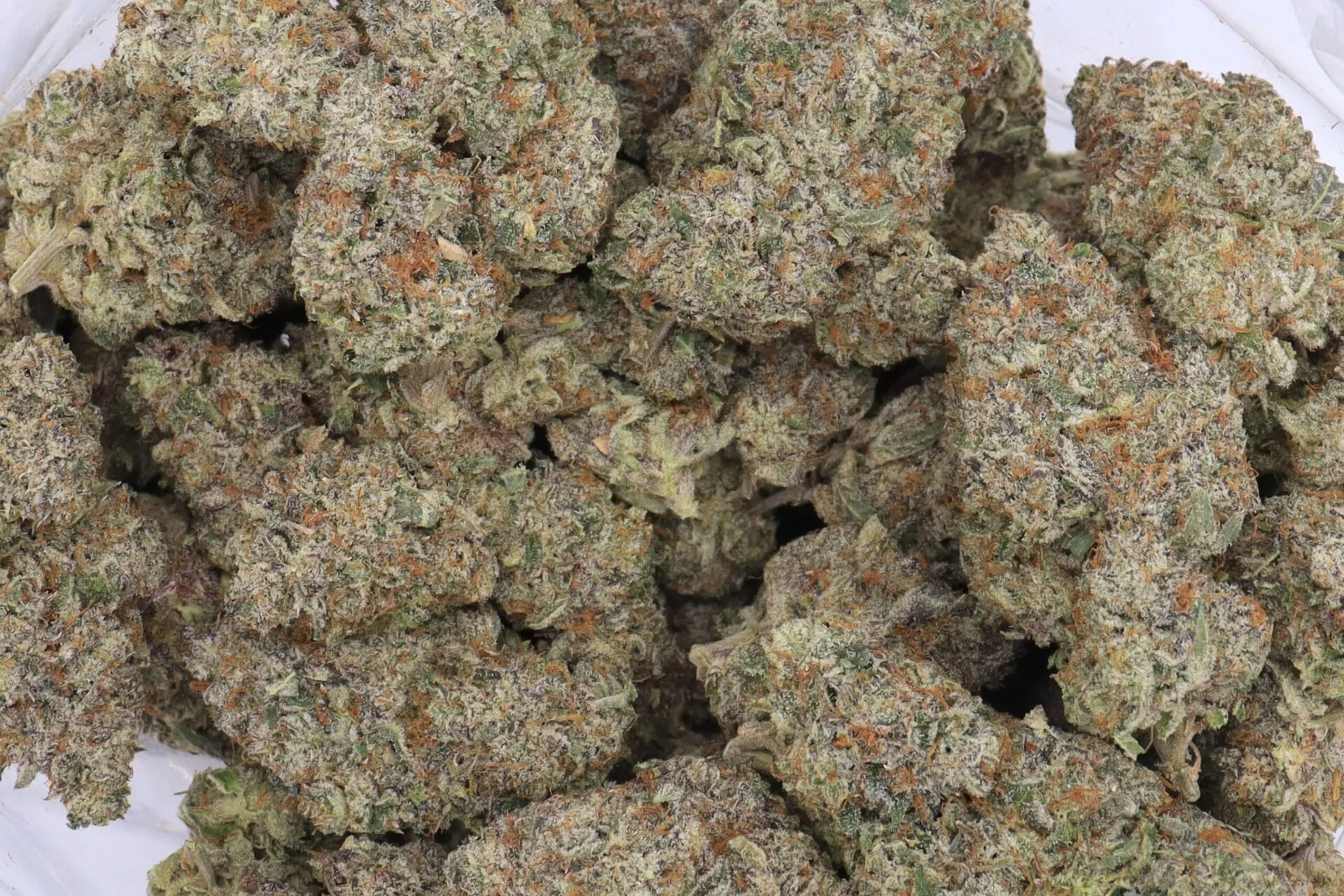 Zoo Dawg Strain Flower - Indica Dominant Hybrid Zoo Dawg Strain Flower - Indica Dominant Hybrid