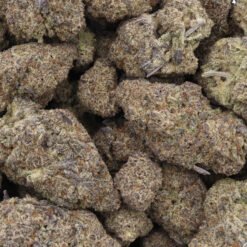 Zoo Dawg Strain Flower - Indica Dominant Hybrid Zoo Dawg Strain Flower - Indica Dominant Hybrid