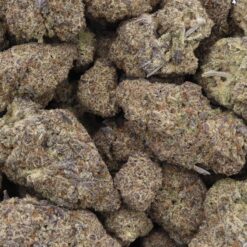Zoo Dawg Strain Flower - Indica Dominant Hybrid Zoo Dawg Strain Flower - Indica Dominant Hybrid