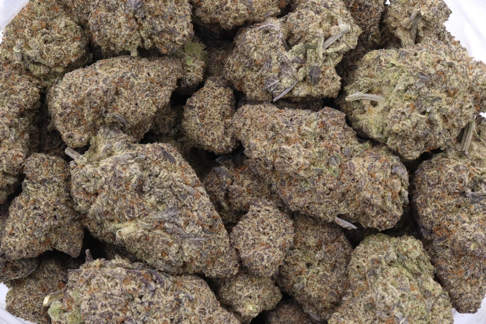 Zoo Dawg Strain Flower - Indica Dominant Hybrid Zoo Dawg Strain Flower - Indica Dominant Hybrid