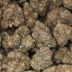Critical Kush Strain Flower - Indica Dominant Hybrid Critical Kush Strain Flower - Indica Dominant Hybrid