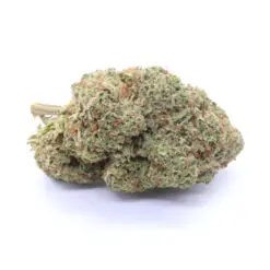 Critical Kush Strain Flower - Indica Dominant Hybrid
