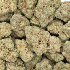 Critical Kush Strain Flower - Indica Dominant Hybrid