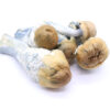 DC Mak Freeze Dried Mushrooms