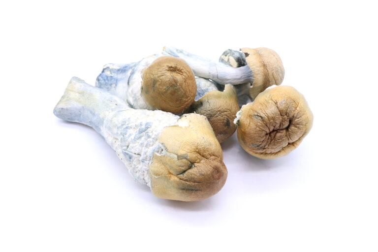 DC Mak Freeze Dried Mushrooms
