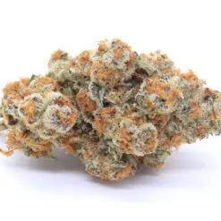 Astronaut Status Strain Flower - Indica Dominant Hybrid