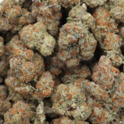 Astronaut Status Strain Flower - Indica Dominant Hybrid