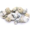 Albino Cape Mushrooms