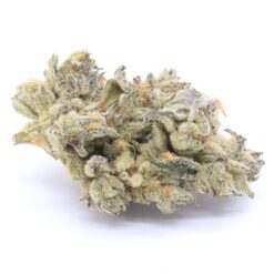 Hawaiian Lion Strain Flower - Sativa Dominant Hybrid