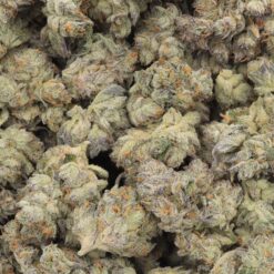 Hawaiian Lion Strain Flower - Sativa Dominant Hybrid