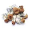 Texas Yellow Caps Mushrooms