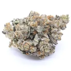 Tiger Cake Strain Flower - Hybrid Tiger Cake Strain Flower - Hybrid